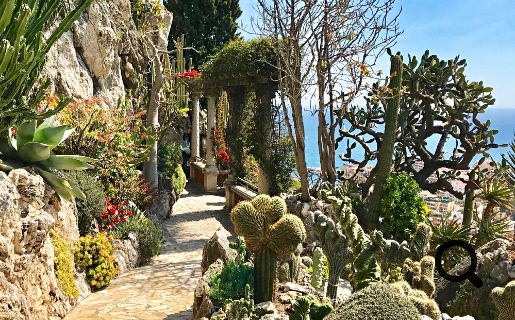 Les amateurs de nature trouveront leur bonheur dans  les jardins exotiques, où une collection impressionnante de plantes succulentes s’épanouit sur les pentes escarpées, offrant des panoramas époustouflants sur la Méditerranée. 