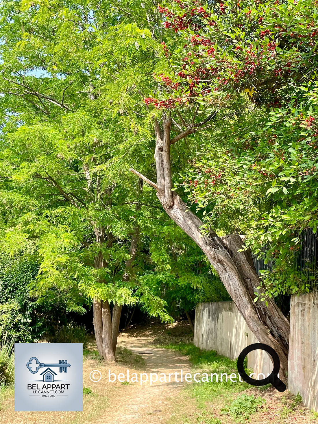 A Walk Along the Siagne Canal: An enjoyable walk of about 1.5 hours takes you along the scenic Siagne Canal. Throughout the route, you’ll be treated to stunning views over the Bay of Cannes, as well as the hills of Mougins and Grasse.