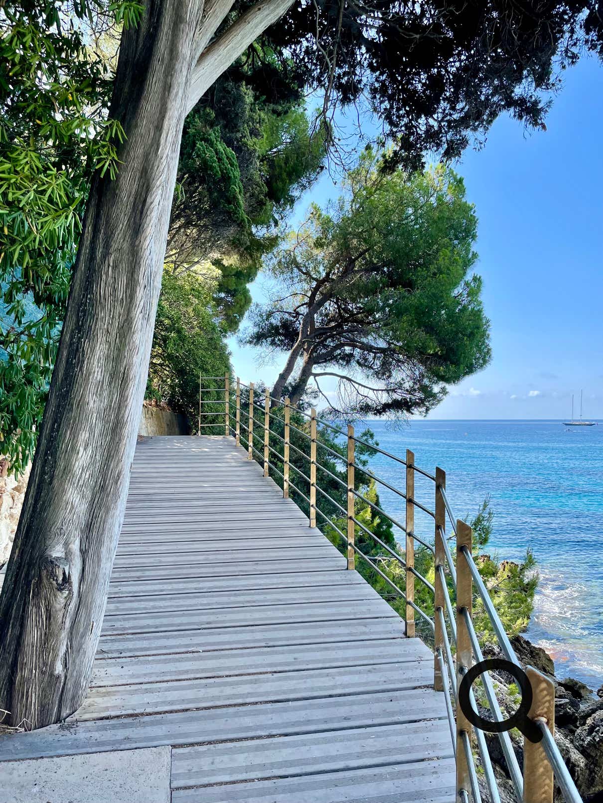 Throughout the walk, the Mediterranean Sea unfolds in all its glory. The turquoise water contrasts beautifully with the white and grey rocks of the shoreline. On clear days, you can see as far as the Italian coast. With a bit of luck, you might spot lizards, seabirds, or even dolphins offshore.