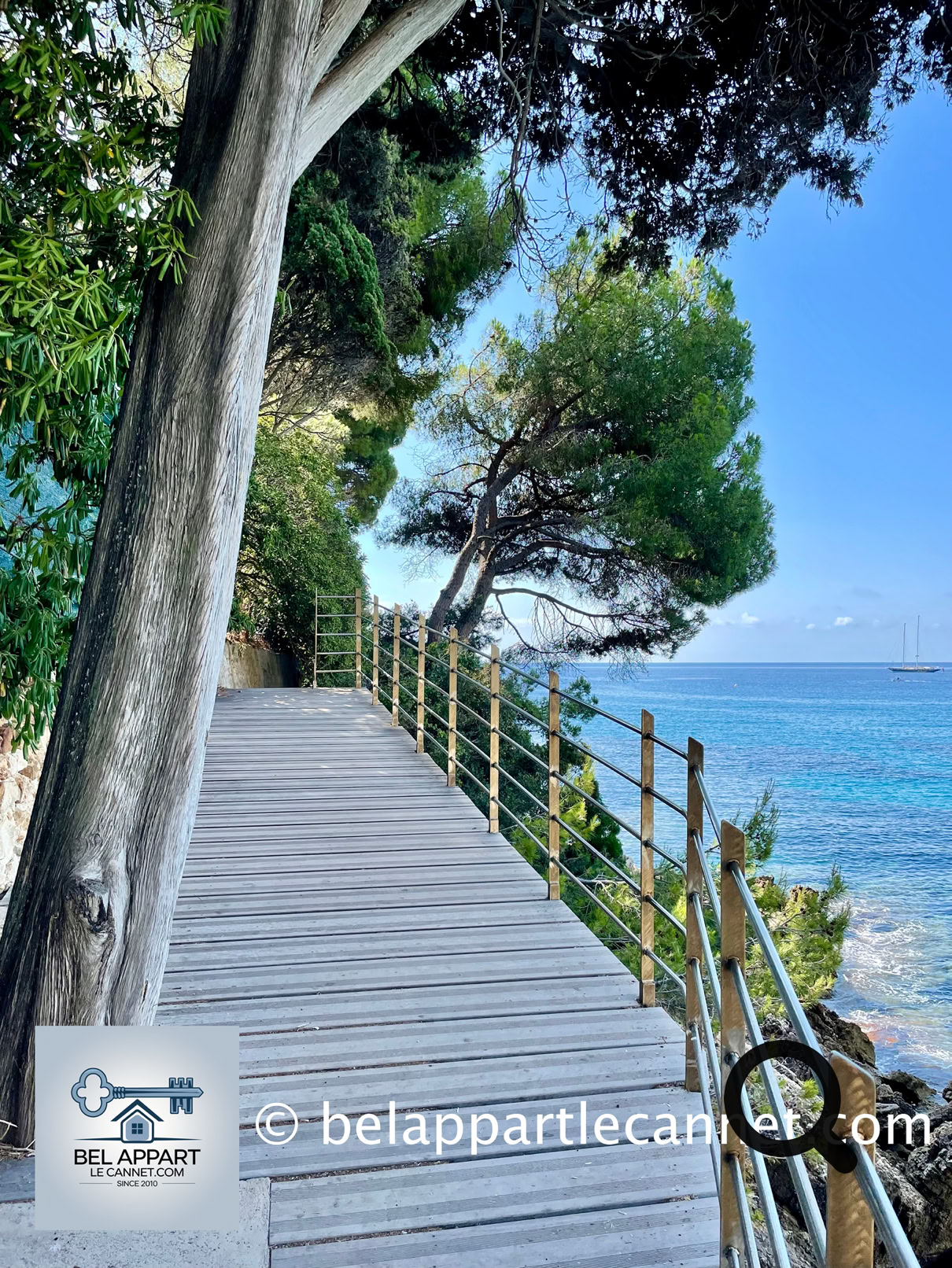 Tout au long du parcours, la Méditerranée se dévoile dans toute sa splendeur. L’eau turquoise contraste avec les rochers blancs et gris du littoral. Par beau temps, on aperçoit jusqu’aux côtes italiennes. Il n’est pas rare de croiser des lézards, des oiseaux marins, ou même des dauphins au large si l’on est chanceux.