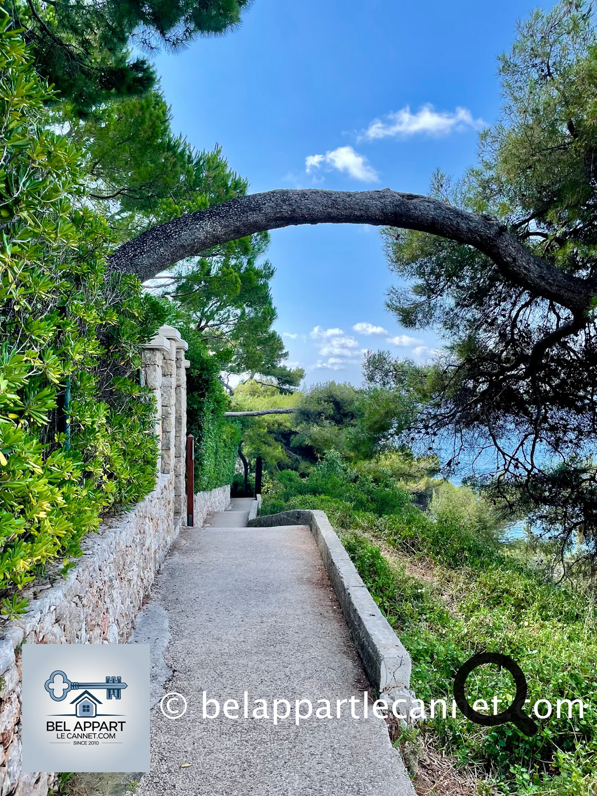Tout au long du parcours, la Méditerranée se dévoile dans toute sa splendeur. L’eau turquoise contraste avec les rochers blancs et gris du littoral. Par beau temps, on aperçoit jusqu’aux côtes italiennes. Il n’est pas rare de croiser des lézards, des oiseaux marins, ou même des dauphins au large si l’on est chanceux.