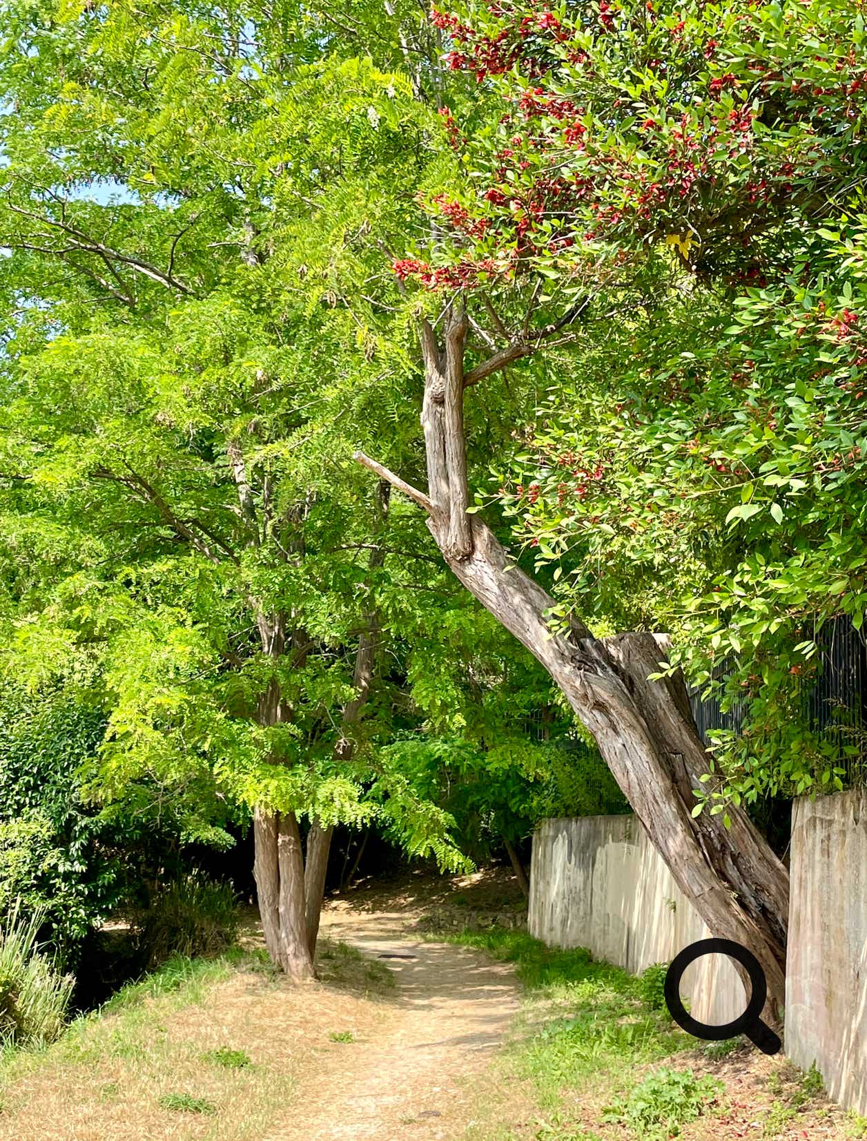 A Walk Along the Siagne Canal: An enjoyable walk of about 1.5 hours takes you along the scenic Siagne Canal. Throughout the route, you’ll be treated to stunning views over the Bay of Cannes, as well as the hills of Mougins and Grasse.
