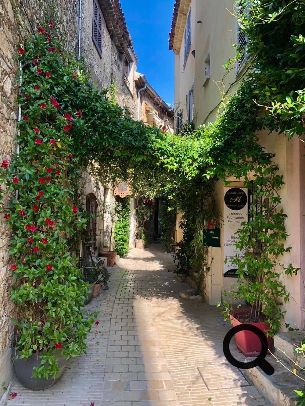 The narrow, winding alleys are lined with ivy-covered stone houses, art galleries, artisan shops, and gourmet restaurants. Mougins is renowned for its culinary scene, having been a favorite destination of legendary chefs like Roger Vergé.