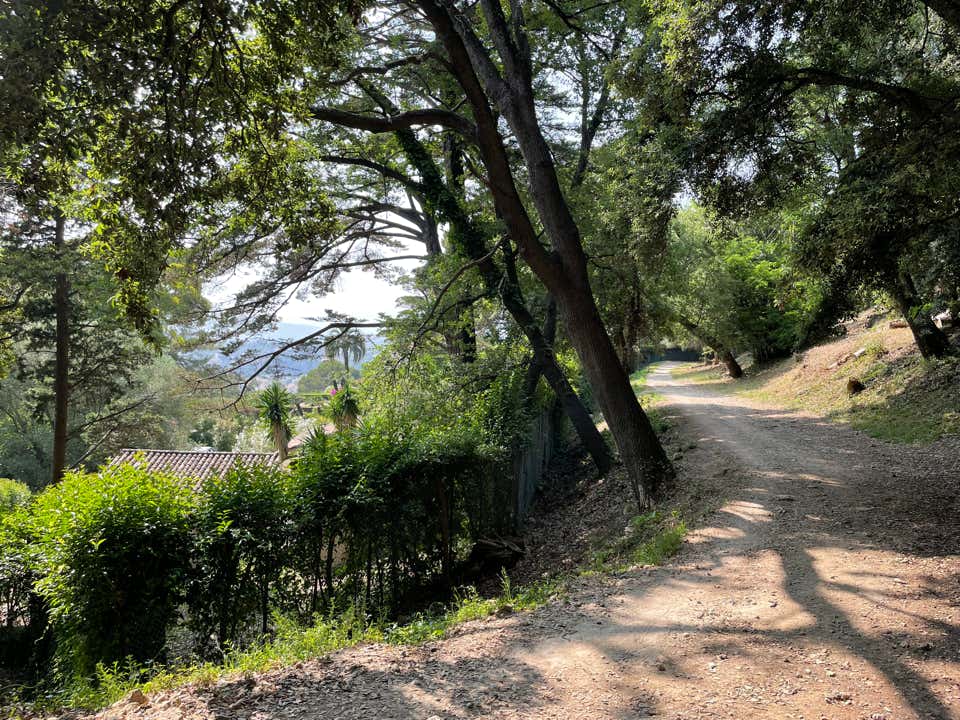 La balade du canal de la Siagne, sur les hauteurs du Cannet jusqu’à Cannes, est un parcours d’environ 1h30 à 2h, long de 3 à 7 km selon l’itinéraire choisi et accessible toute l’année.  Vous partez du vieux Cannet (rue des Prés, rue Saint‑Sauveur), grimpez via des escaliers et le chemin rural pour atteindre le sentier du canal, aujourd’hui couvert, mais bordé de végétation méditerranéenne comme eucalyptus, mimosas et chênes‑lièges. 